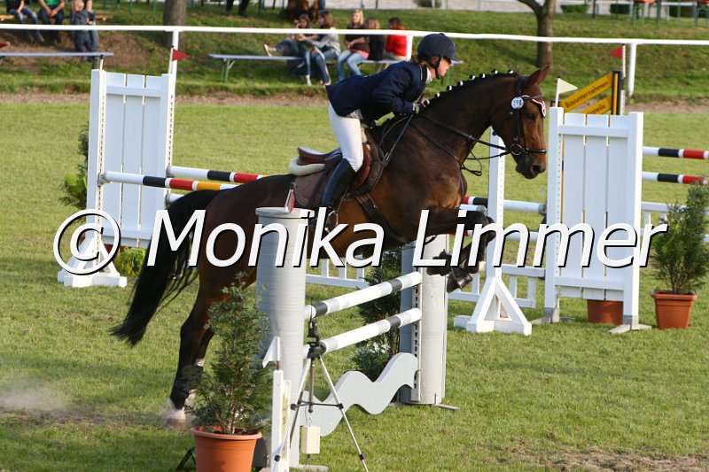 204M2151_Utopia_Stil Axx.JPG